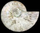 Silver Iridescent Ammonite - Madagascar #47490-1